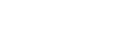 Logo Shopify